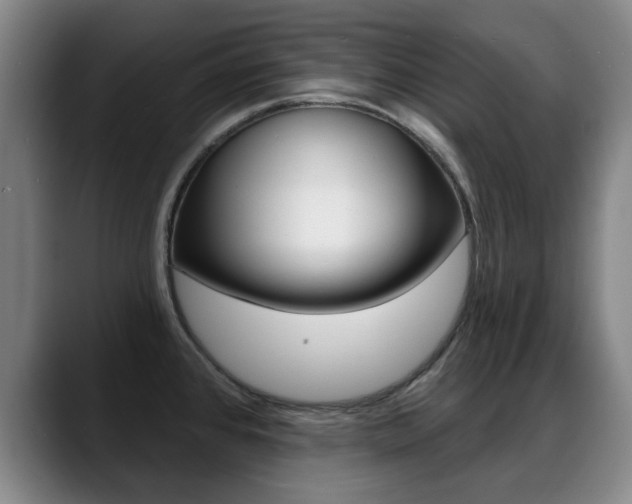 X0000089381384200706150902