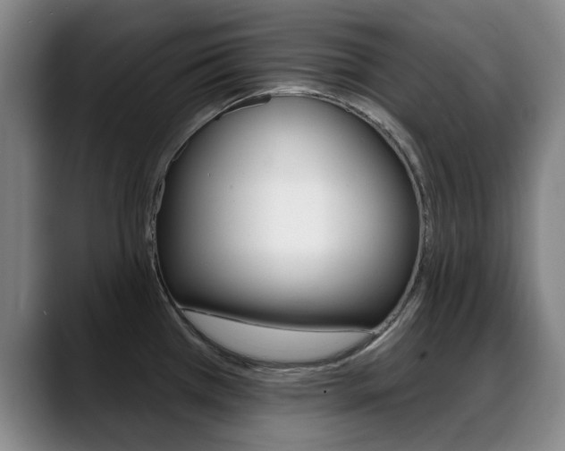 X0000089381385200706150902