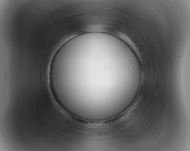 X0000089381386200706150902