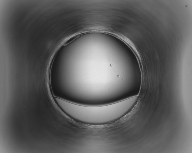 X0000089381389200706150902