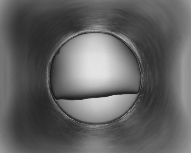 X0000089381390200706150902