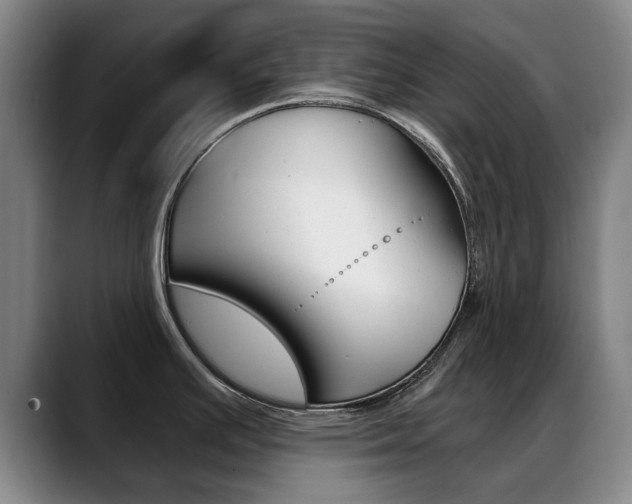 X0000089381391200706150902