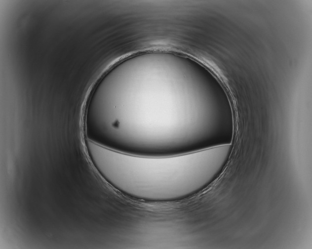 X0000089381392200706150902
