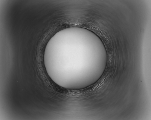 X0000089381393200706150901