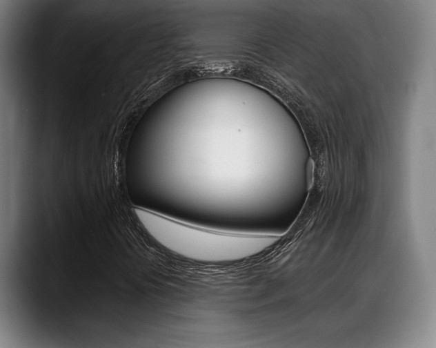 X0000089381394200706150902