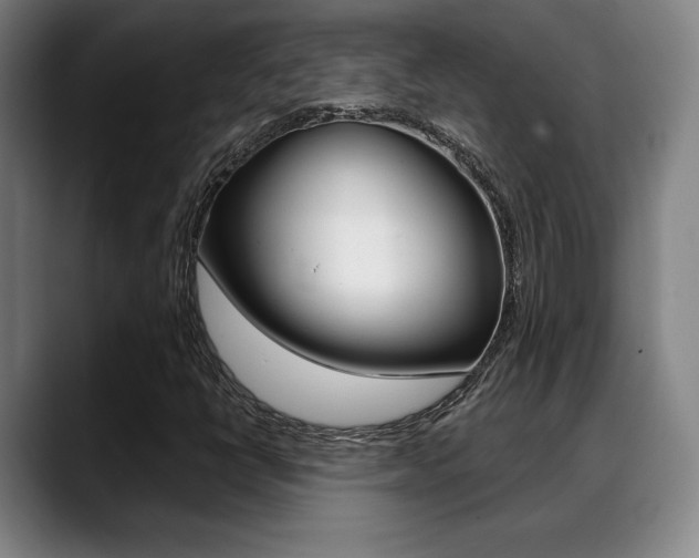 X0000089381398200706150902