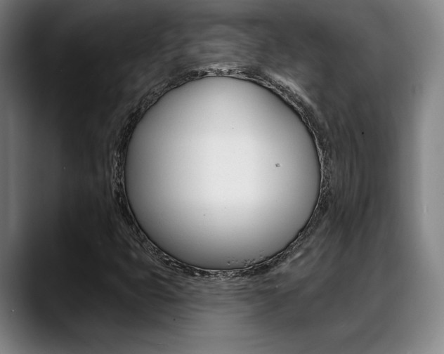 X0000089381399200706150902