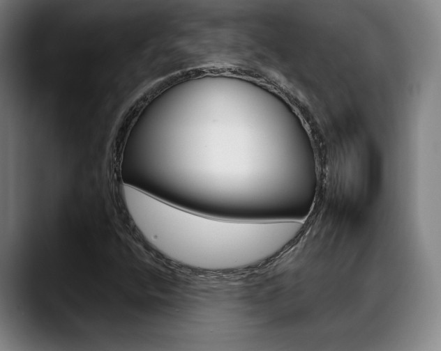 X0000089381400200706150902