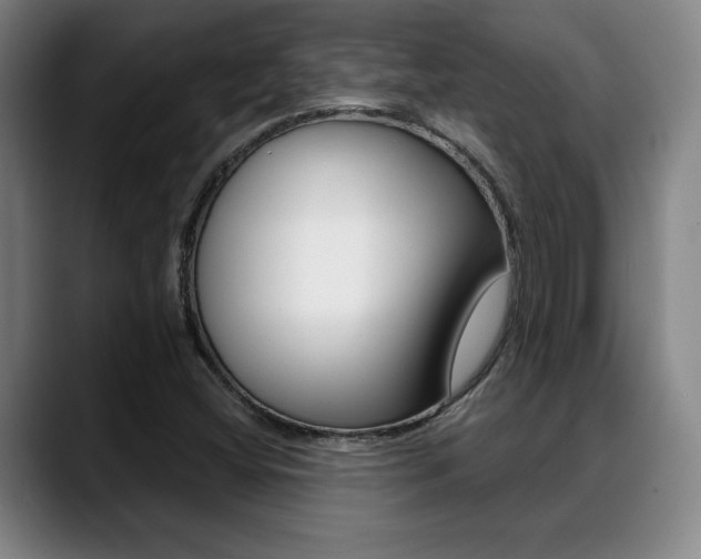 X0000089381404200706150902