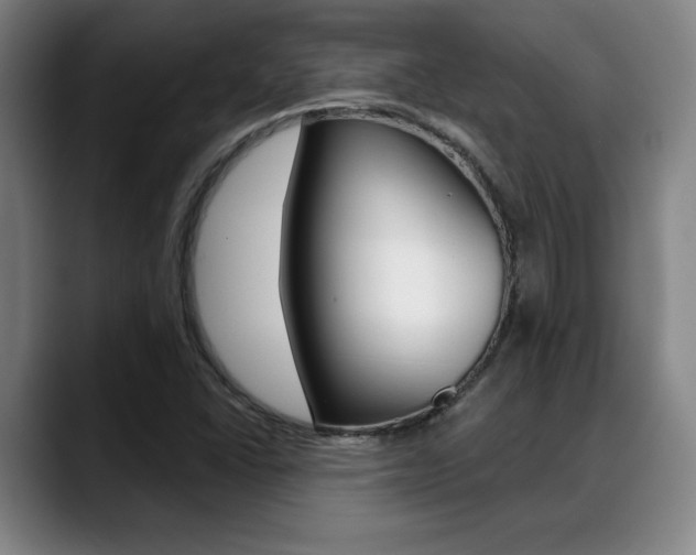 X0000089381406200706150902