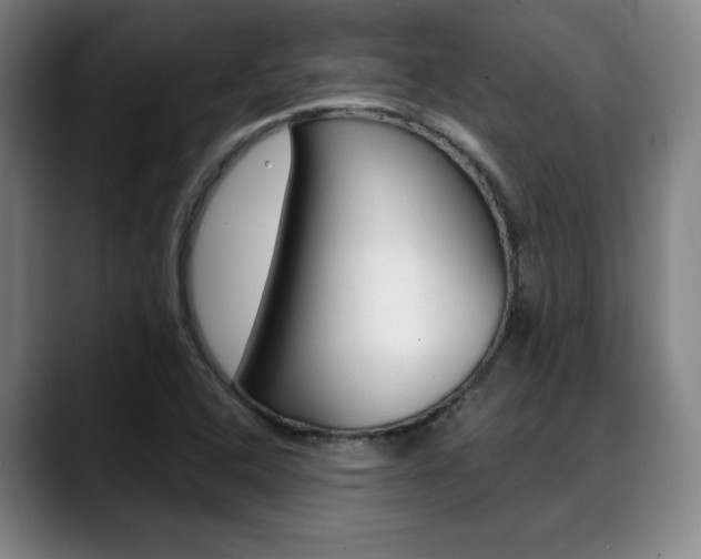 X0000089381408200706150902