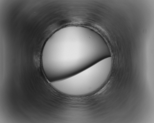 X0000089381409200706150902