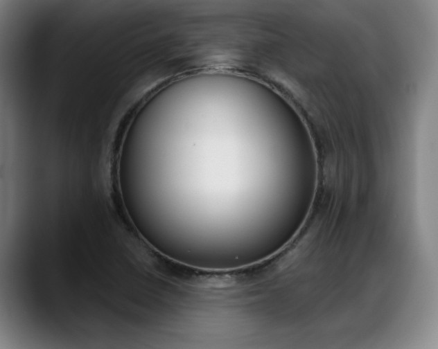 X0000089381410200706150902
