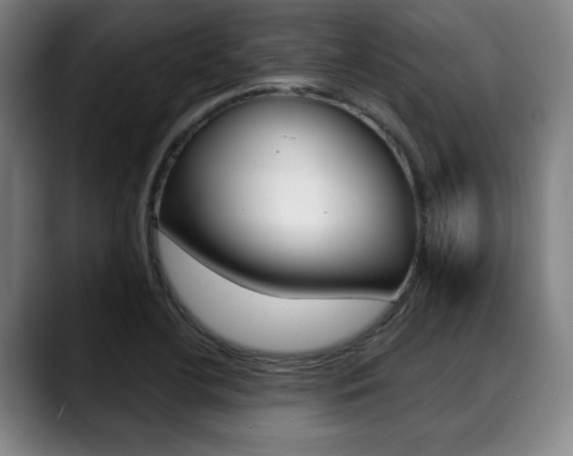 X0000089381412200706150902