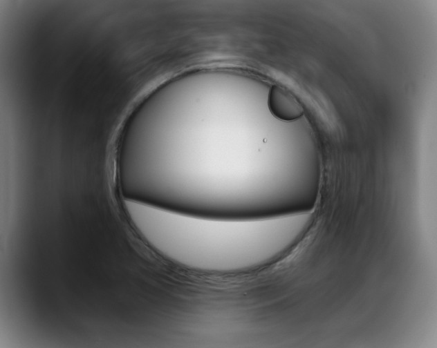 X0000089381413200706150902