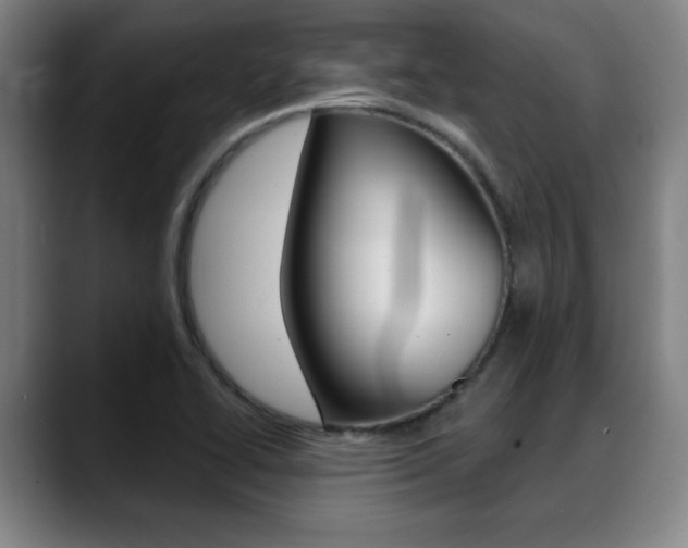 X0000089381414200706150902