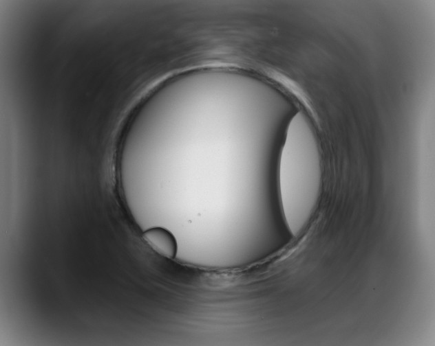 X0000089381415200706150902