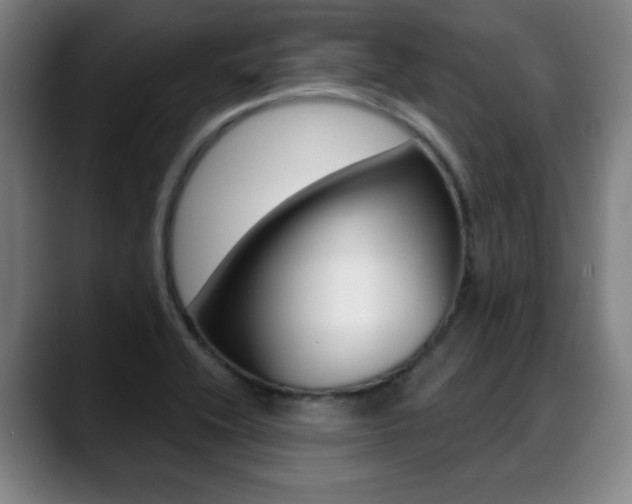 X0000089381416200706150902