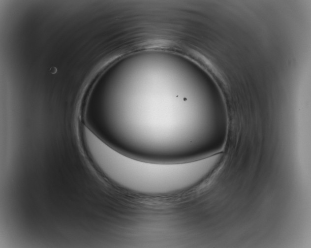 X0000089381418200706150902