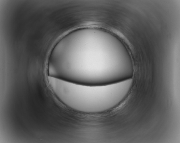 X0000089381421200706150902
