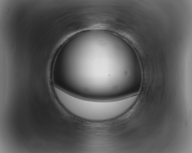 X0000089381422200706150902