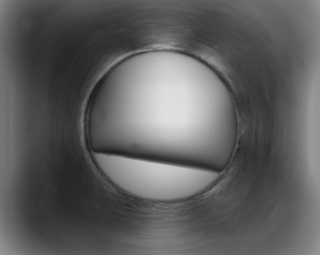 X0000089381423200706150902