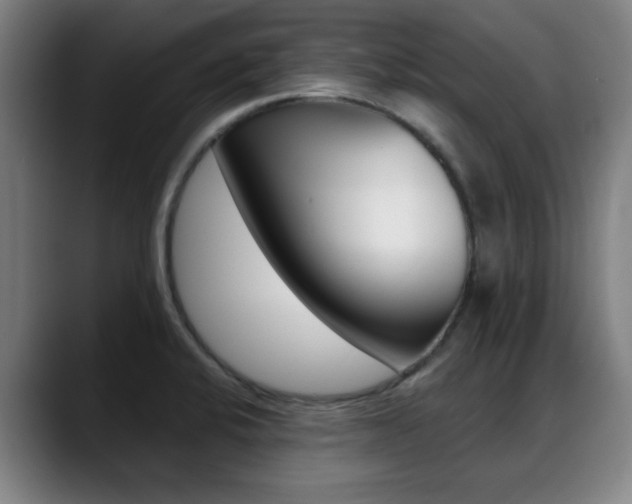X0000089381424200706150902