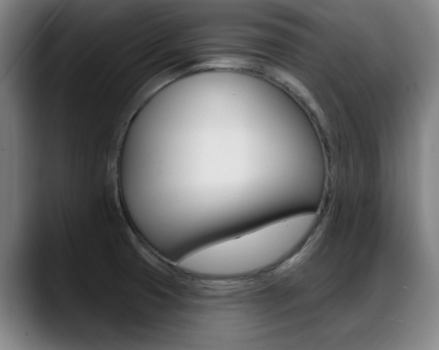 X0000089381425200706150902