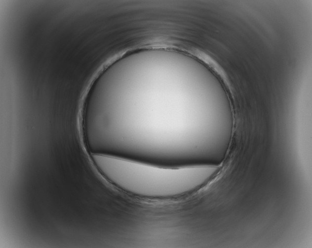 X0000089381429200706150902