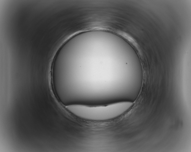 X0000089381431200706150902