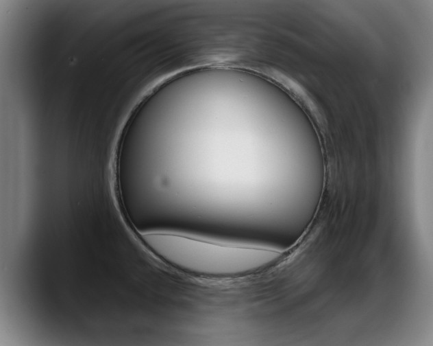 X0000089381432200706150902