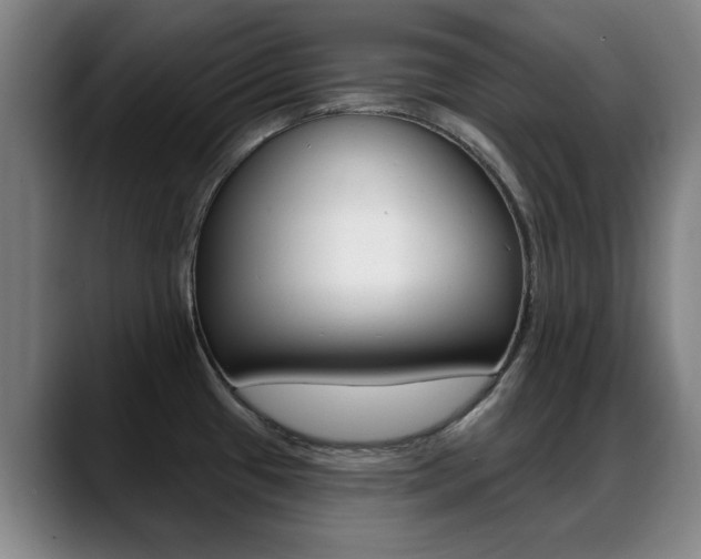 X0000089381433200706150902