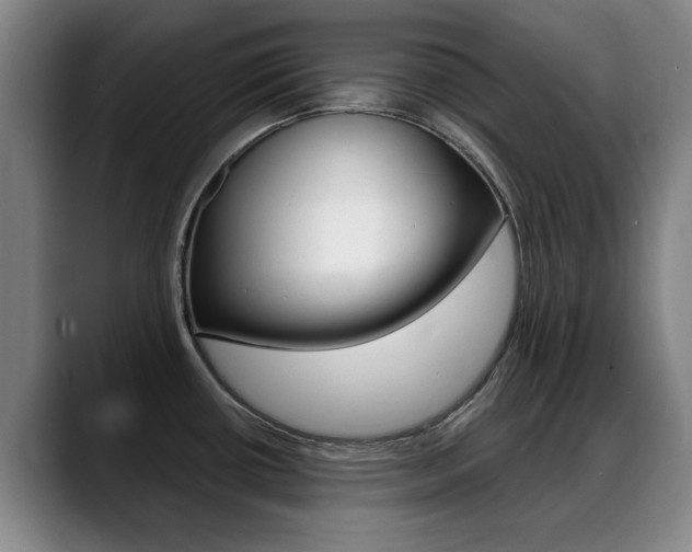 X0000089381434200706150902
