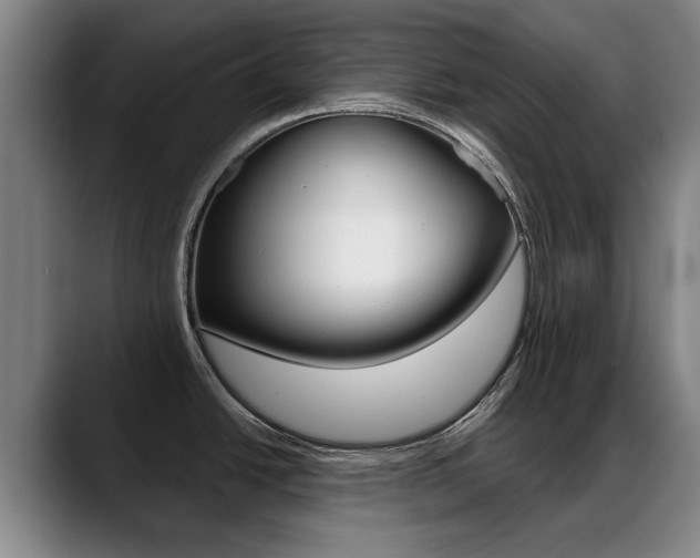 X0000089381438200706150902