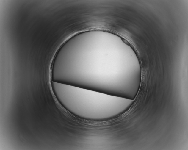 X0000089381439200706150902