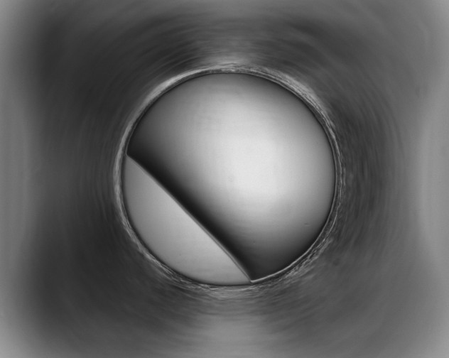 X0000089381440200706150902