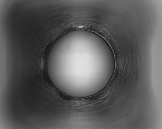 X0000089381442200706150901