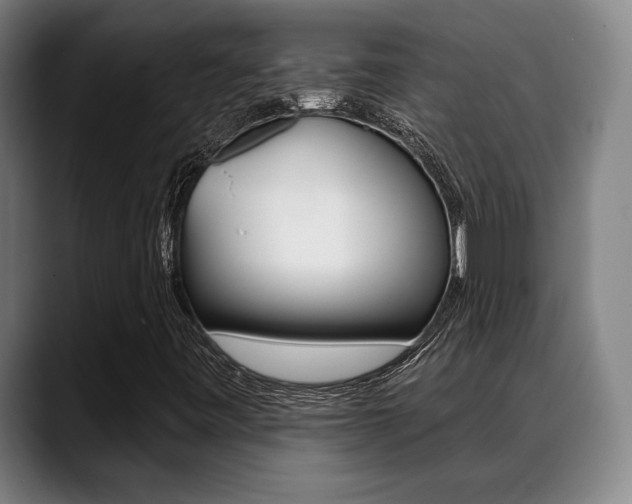 X0000089381443200706150901