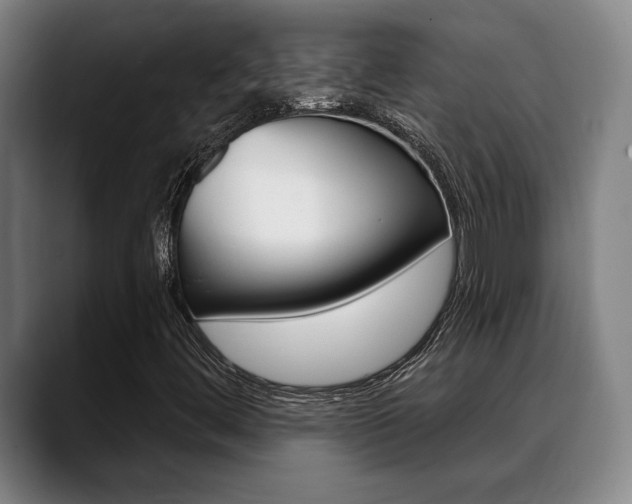 X0000089381444200706150901