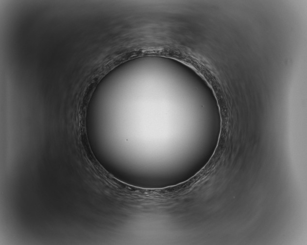 X0000089381445200706150901