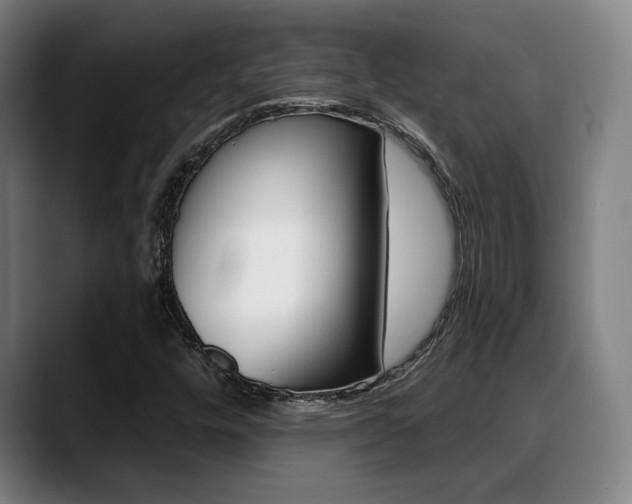 X0000089381448200706150901