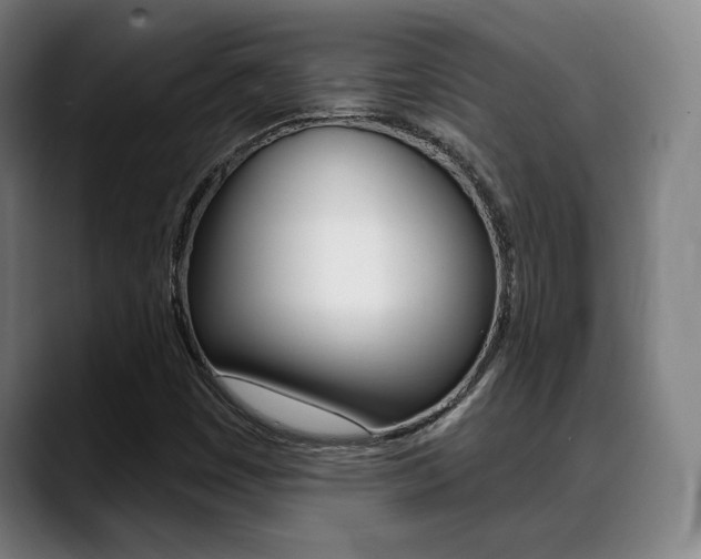 X0000089381449200706150901