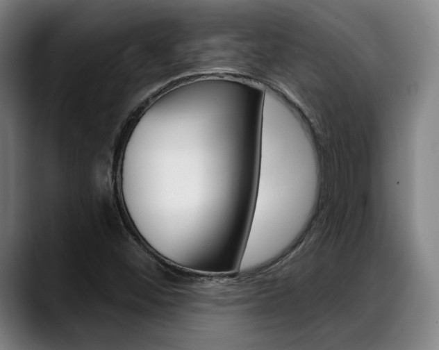 X0000089381452200706150901
