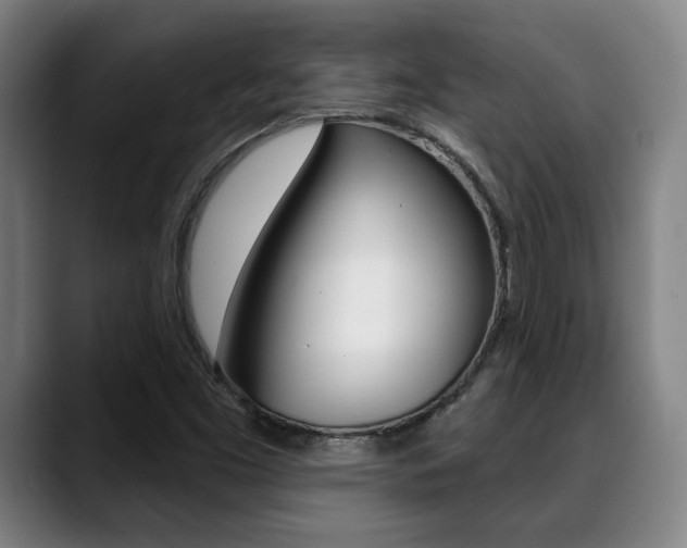 X0000089381453200706150901