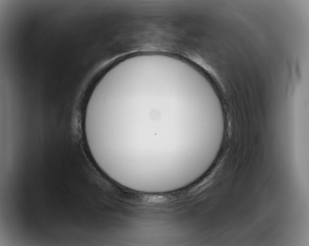 X0000089381454200706150901