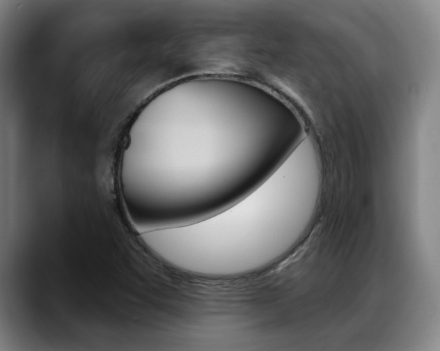 X0000089381455200706150901