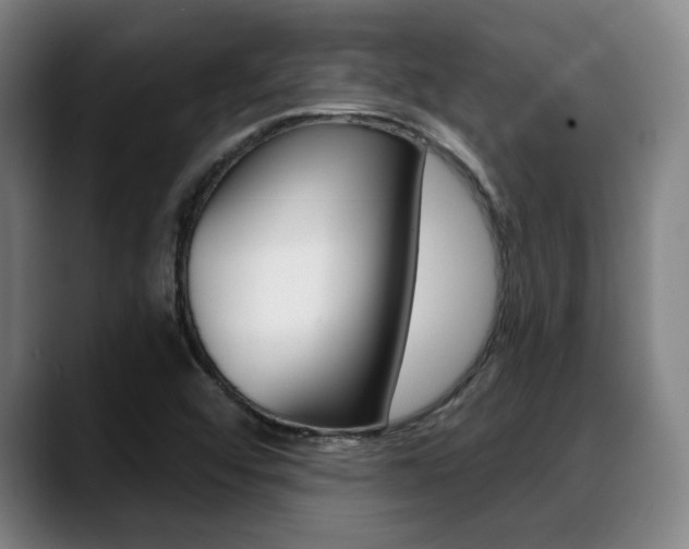 X0000089381456200706150901