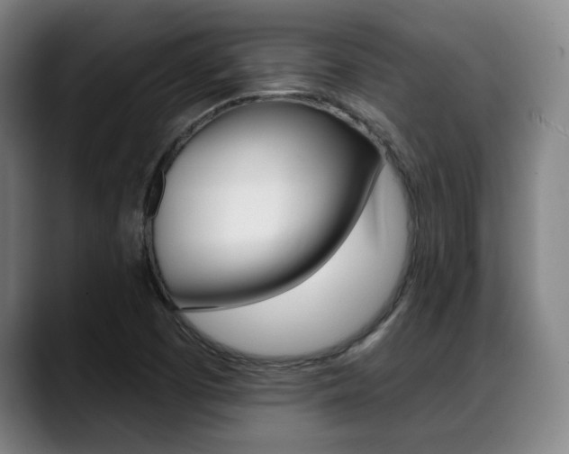 X0000089381457200706150901