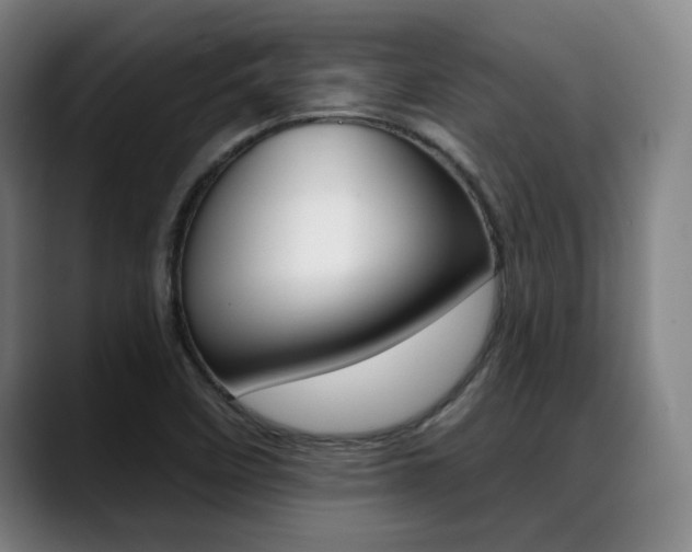 X0000089381458200706150901