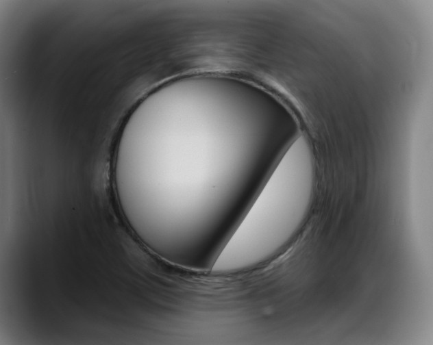 X0000089381459200706150901